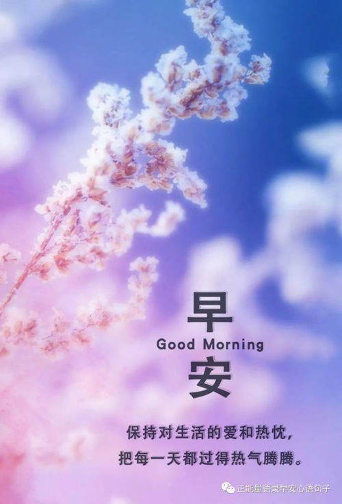 上進(jìn),句子,激勵(lì),能量