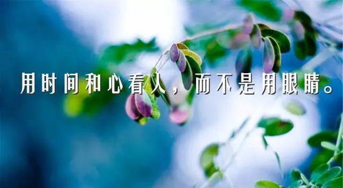 工作心態(tài)銷售正能量句子