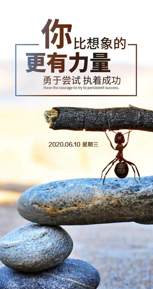 句子,能量,鼓勵,心情