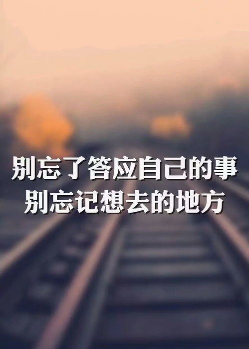 短句,句子,能量,優(yōu)美