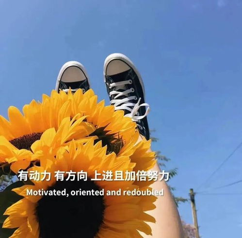 關于培訓結束的正能量句子