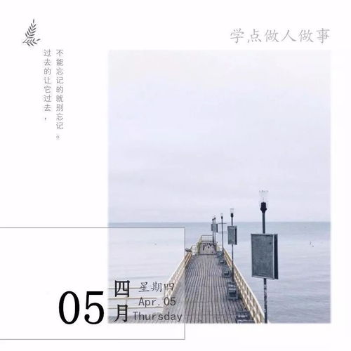 每天一段正能量的句子,搜一段正能量句子,一群正能量的女人句子