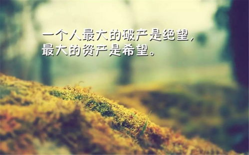 黑白正能量句子壁紙