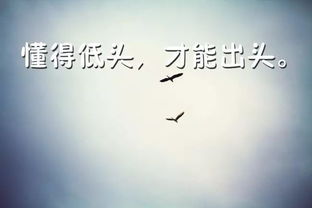 有關(guān)工作正能量早安的句子