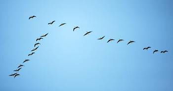 激發(fā)員工正能量句子