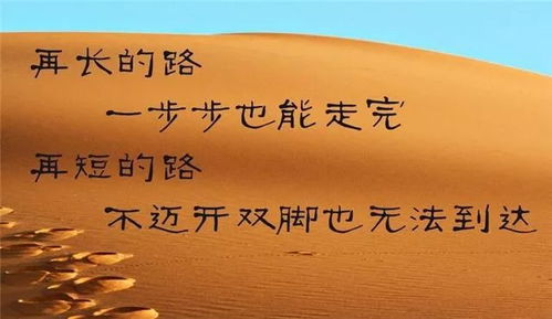 友誼,句子,能量