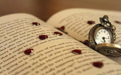 句子,能量,學(xué)生