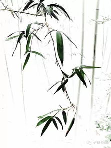 正能量的句子國學