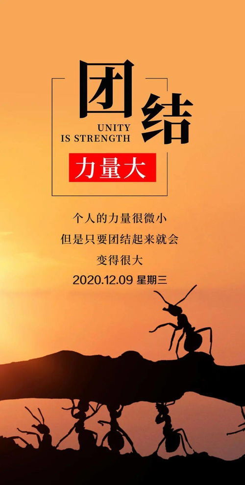 11月美好積極正能量的句子