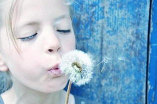 護膚品,句子,能量