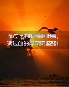 每日分享正能量句子,早會分享正能量句子,早安正能量句子