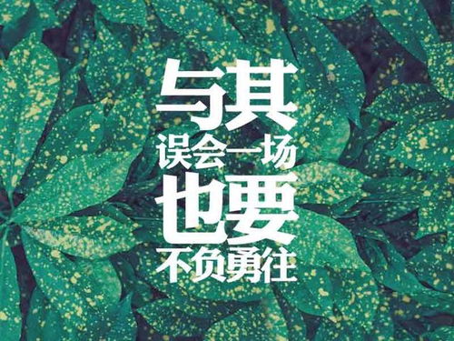 關(guān)于堅持的正能量句子,正能量優(yōu)秀句子,正能量滿滿的勵志句子