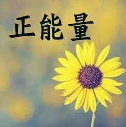 形容夢(mèng)想正能量的句子