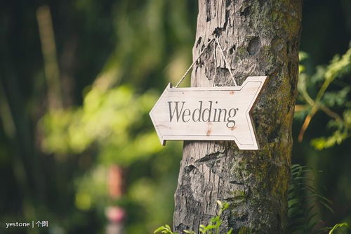 句子,能量,管理