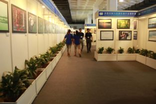 實驗室創(chuàng)新的正能量句子