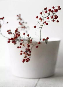 描寫積極向上正能量的句子