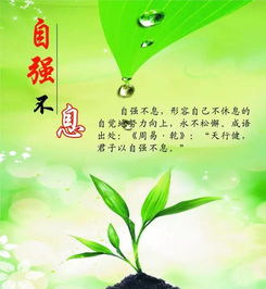 早安,句子,語(yǔ)句,能量