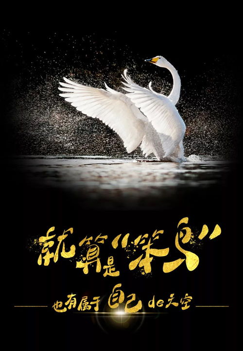 美發(fā)介早安正能量句子