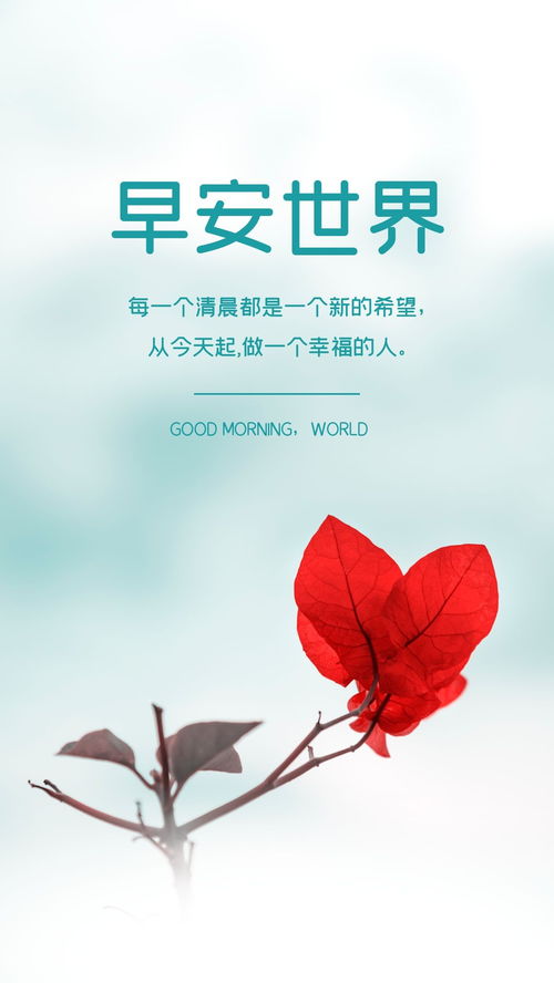 句子,能量,陽光,心情