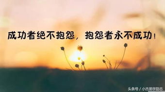 自己的,句子,能量,鼓勵(lì)