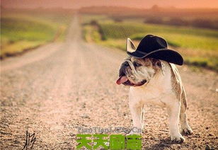 工作激勵上進(jìn)正能量句子