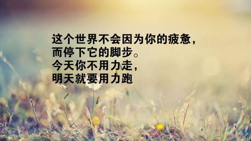 正能量滿滿的勵(lì)志短句子