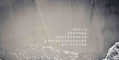 加班正能量的句子經(jīng)典語句,深夜加班正能量的句子,關(guān)于加班幽默正能量的句子