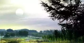 早間分享正能量的句子