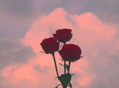 低谷期的正能量句子,低谷正能量的句子,處于低谷正能量句子