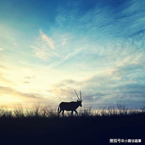 句子,能量,心態(tài),陽(yáng)光