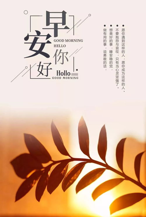 帶有專注2個(gè)字的正能量句子