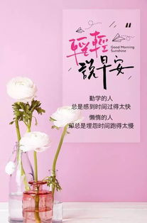 早安感恩正能量的句子帶字大全