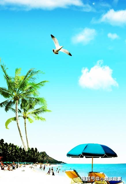 致學生正能量滿滿的句子