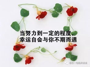 工作心態(tài)正能量句子100字,工作心態(tài)正能量句子勵(lì)志,2021工作心態(tài)正能量句子