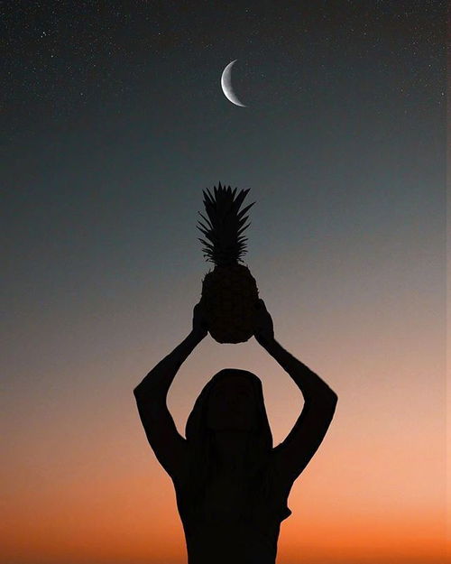 晚上發(fā)朋友圈的好句子正能量,晚安正能量的句子,晚上發(fā)圈正能量的句子