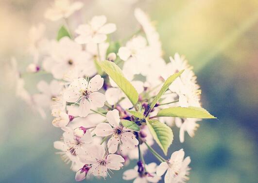 關(guān)于熱情的正能量句子