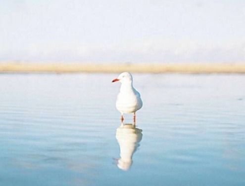 句子,拼搏,能量,努力