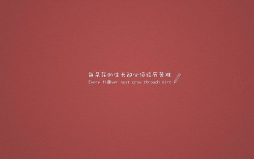 句子,激發(fā),能量,微商正