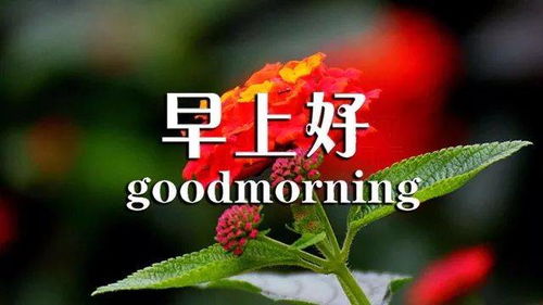 早上好勵(lì)志正能量句子,早上好正能量句子簡(jiǎn)短,早上好激勵(lì)人生的正能量句子