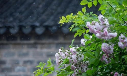 勵志有上進(jìn)心的正能量句子