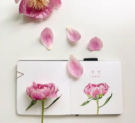 抖音傳遞正能量的句子