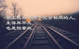 段子,句子,能量,心態(tài)