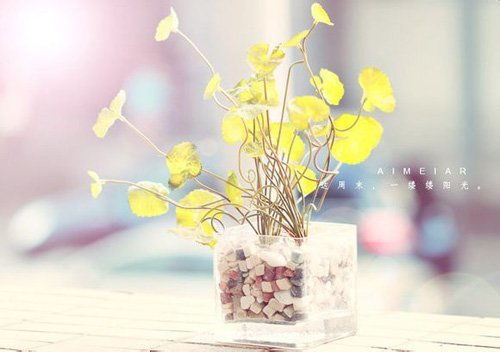 正能量給自己打氣的句子