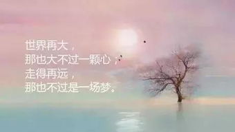 正能量現(xiàn)實(shí)情感勵志句子