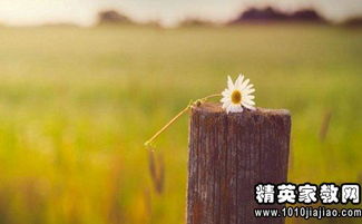 破曉有關(guān)的正能量句子