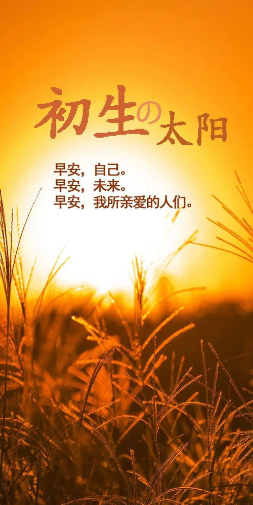 句子,早上好,能量,等待