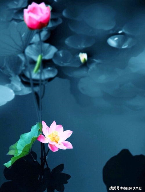 感覺很幸運的正能量的句子