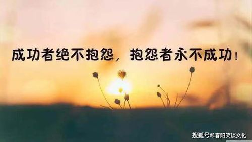 追逐陽(yáng)光正能量的句子