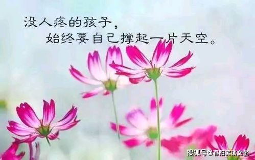 深夜發(fā)的正能量句子