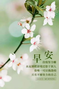 關(guān)于花的正能量哲理句子大全